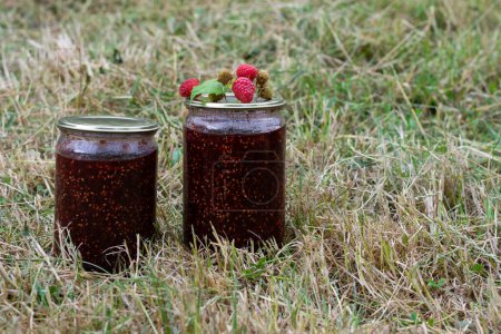 Foto de Frambuesas conservadas en frascos de vidrio, en la hierba del país. Mermelada de frambuesa ecológica. - Imagen libre de derechos