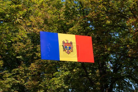 Photo for The state flag of the Republic of Moldova hoisted in public space, on the streets, against the background of tree branches with leaves. - Royalty Free Image