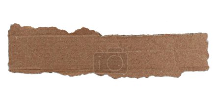 Photo for Torn brown cardboard strip, copy space - Royalty Free Image