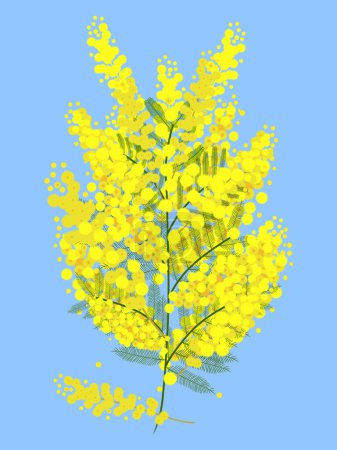 Photo for Mimosa flower on green branch, blue background. Vector flat design. - Royalty Free Image