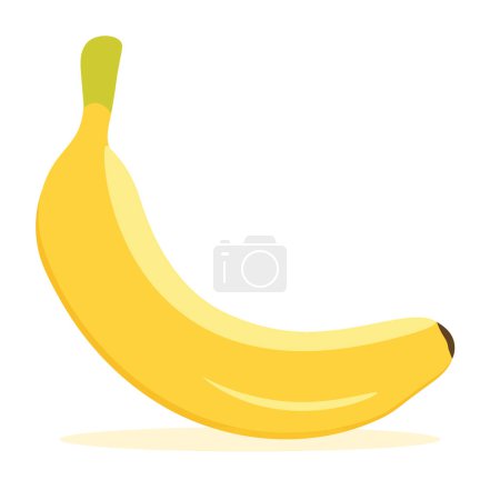 Photo for Banana tropical fruit drawn in vector - Royalty Free Image