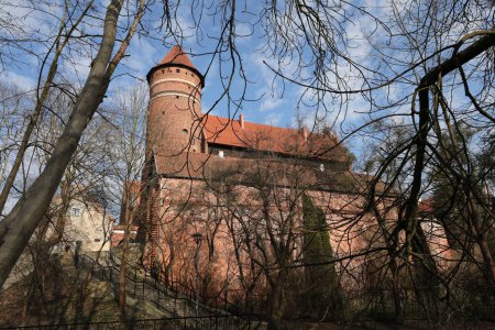 Colorido castillo medieval en el parque de la ciudad