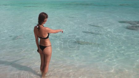 Téléchargez les photos : Femme en bikini debout dans l'eau de mer et regardant des requins de récif de citron nager autour. Eau cristalline turquoise et sable blanc. Voyages, tourisme, vacances. Nature sauvage Tikehau île, Polynésie française - en image libre de droit