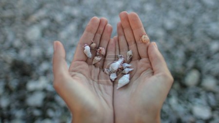 A person is shown with their hands held in front of them, adorned with shells. The shells are various shapes and sizes, adding texture and visual interest to the composition.