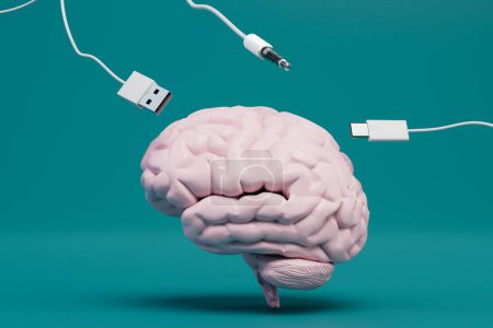 reposición del cerebro con información. cerebro y cables USB en un fondo turquesa. Renderizado 3D.