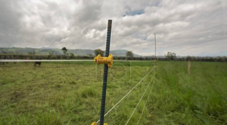 Téléchargez les photos : Vue rapprochée d'un poteau métallique supportant une clôture électrique entourant un enclos à bétail avec de l'herbe verte par temps nuageux - en image libre de droit