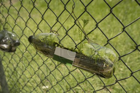 Téléchargez les photos : Bouteille en plastique recyclé, suspendue à une maille métallique dans un parc, utilisée comme pot de fleurs avec des plantes vertes poussant à l'intérieur - en image libre de droit