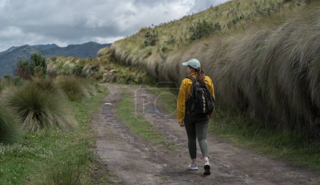 Téléchargez les photos : Belle jeune femme latino-américaine marchant avec son sac à dos sur un sentier de terre dans une montagne par une journée ensoleillée - en image libre de droit