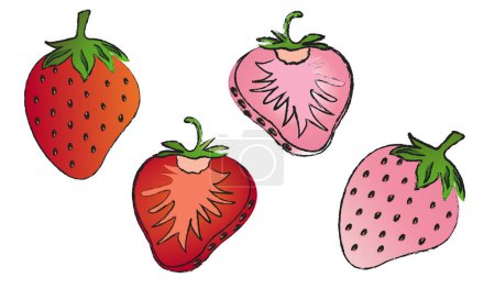 Téléchargez les illustrations : Strawberry isolated vector set on white background , fruit line art vector isolated - en licence libre de droit