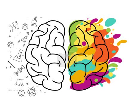 Illustration for Functioning of the left and right brain creative. colorful creativity mind idea. hemisphere of human head concept. vector illustration in flat style modern design. education study and science. - Royalty Free Image