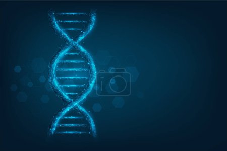 Illustration for Technology science dna code low poly wireframe. consisting of points, lines on dark blue background. science, biology and technology concept. vector illustration futuristic technology - Royalty Free Image