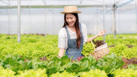 Foto de Mujer agricultora inteligente trabajando y comprobando la calidad vegetal hidropónica orgánica en la plantación de invernadero a la gestión preparando la exportación para vender. - Imagen libre de derechos