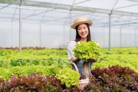 Téléchargez les photos : Femme agricultrice intelligente travaillant et contrôlant la qualité des légumes hydroponiques biologiques en plantation de serre à la direction préparant l'exportation pour la vente. - en image libre de droit