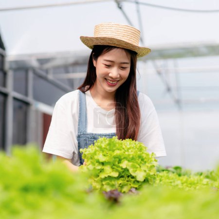 Foto de Mujer agricultora inteligente trabajando y comprobando la calidad vegetal hidropónica orgánica en la plantación de invernadero a la gestión preparando la exportación para vender. - Imagen libre de derechos