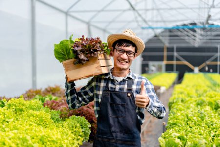 Photo for Young man smart farmer smiling working and bear basket on shoulder organic hydroponic vegetable to preparing export to sell. - Royalty Free Image