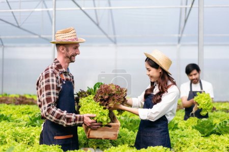Photo for Two couple agribusiness owner farmer working and holding organic hydroponic vegetable in basket to preparing harvest export to sell. - Royalty Free Image
