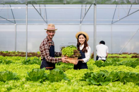 Téléchargez les photos : Deux couples propriétaire agro-industriel agriculteur travaillant et tenant des légumes hydroponiques biologiques dans le panier pour préparer l'exportation de la récolte à vendre. - en image libre de droit
