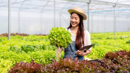 Foto de Mujer agricultora inteligente sosteniendo tableta trabajando y comprobando la calidad orgánica de las verduras hidropónicas en la plantación de invernadero para cosechar preparando la exportación para vender. - Imagen libre de derechos