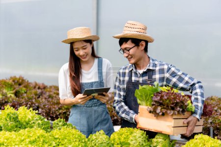 Téléchargez les photos : Deux propriétaires d'agrobusiness en couple agriculteur travaillant et tenant une tablette vérifiant les légumes hydroponiques biologiques dans le panier pour préparer l'exportation de la récolte à vendre. - en image libre de droit