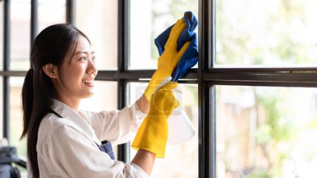 Foto de Ama de casa en delantal con guantes para rociar aerosol de higiene en el espejo y usar tela de microfibra para limpiar el polvo mientras trabaja y limpia muebles en la casa. - Imagen libre de derechos