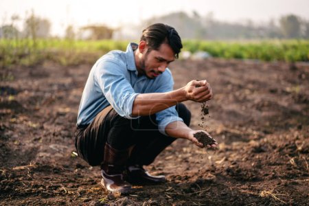 Téléchargez les photos : Fermier intelligent tenant le sol entre ses mains pour examiner la qualité du sol pour le contrôle du système de travail et de planification avant la culture de légumes avec la technologie dans le domaine agricole. - en image libre de droit