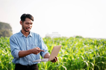 Photo for Smart farmer using laptop to examining quantity and quality crop of corn vegetables while working and planning system control with technology at agricultural field. - Royalty Free Image