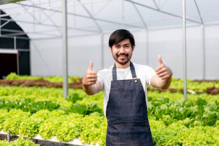 Photo for Agribusiness farmer and hydroponic farming concept, Man showing thumb up gesture after inspecting quantity and quality of salad vegetables before harvesting salad hydroponics vegetables in greenhouse. - Royalty Free Image