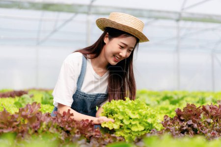 Téléchargez les photos : Femme agriculteur intelligent tenant tablette travaillant et vérifiant la qualité des légumes hydroponiques biologiques dans la plantation de serre pour la récolte préparant l'exportation pour la vente. - en image libre de droit