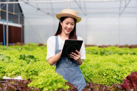 Téléchargez les photos : Femme agriculteur intelligent tenant tablette travaillant et vérifiant la qualité des légumes hydroponiques biologiques dans la plantation de serre pour la récolte préparant l'exportation pour la vente. - en image libre de droit