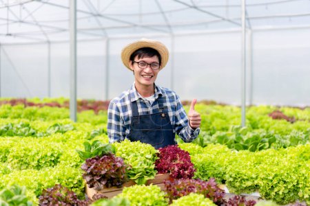 Foto de Agricultor agroindustrial y concepto de cultivo hidropónico, Hombre sonriendo y sosteniendo cesta de verduras ensalada después de cosechar verduras hidropónicas ensalada en invernadero. - Imagen libre de derechos
