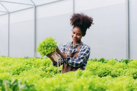 Foto de Agricultor agroindustrial y concepto de cultivo hidropónico, mujer africana que inspecciona la cantidad y calidad de la ensalada de verduras antes de cosechar ensalada de verduras hidropónicas en la granja de invernadero. - Imagen libre de derechos