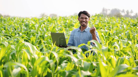 Smart farmer raising arm to celebrate after using laptop to examining quality crop of corn vegetables successful while working and planning system control with technology at agricultural field.