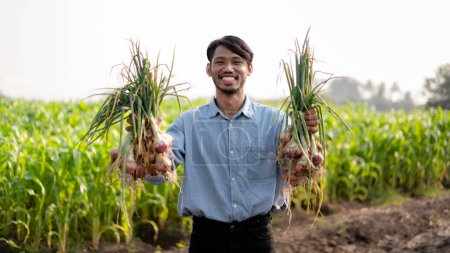 Photo for Smart farmer holding garlics in both hands and happiness with examining quantity and quality crop of garlic vegetables while working and planning system control with technology at agricultural field. - Royalty Free Image