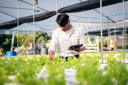 Foto de Hombre inteligente agricultor sosteniendo tableta de trabajo y control de la calidad vegetal hidropónica orgánica en la plantación de invernadero para preparar la exportación de la cosecha para vender. - Imagen libre de derechos