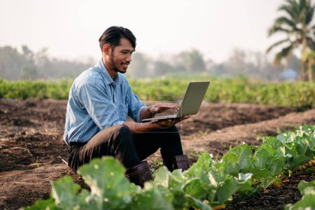 Photo for Smart farmer typing on laptop to examining quantity and quality crop of cabbage vegetables while working and planning system control with technology at agricultural field. - Royalty Free Image