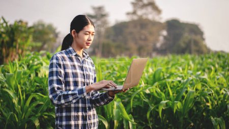 Téléchargez les photos : Fermier intelligent utilisant un ordinateur portable pour examiner la quantité et la qualité des cultures de légumes de maïs tout en travaillant et en planifiant le contrôle du système de gestion avec la technologie dans le domaine agricole. - en image libre de droit