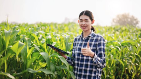 Photo for Smart farmer making thumb up gesture and use digital tablet to examining quality crop of corn vegetables while working and planning to management system control with technology at agricultural field. - Royalty Free Image