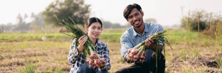 Téléchargez les photos : Deux agriculteurs intelligents qui cultivent l'ail et qui sont heureux d'examiner la quantité et la qualité de la récolte de légumes à l'ail tout en travaillant et en planifiant le contrôle du système avec la technologie sur le terrain agricole. - en image libre de droit