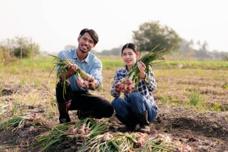 Téléchargez les photos : Deux agriculteurs intelligents qui cultivent l'ail et qui sont heureux d'examiner la quantité et la qualité de la récolte de légumes à l'ail tout en travaillant et en planifiant le contrôle du système avec la technologie sur le terrain agricole. - en image libre de droit