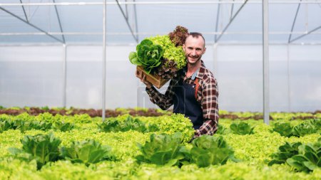 Téléchargez les photos : Jeune homme d'agrobusiness fermier intelligent souriant et tenant un légume hydroponique biologique dans le panier pour le contrôle de la qualité et la préparation à l'exportation pour la vente. - en image libre de droit