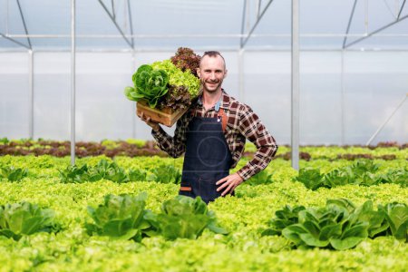 Photo for Young agribusiness man smart farmer smiling and holding organic hydroponic vegetable in basket to quality checking and preparing export to sell. - Royalty Free Image