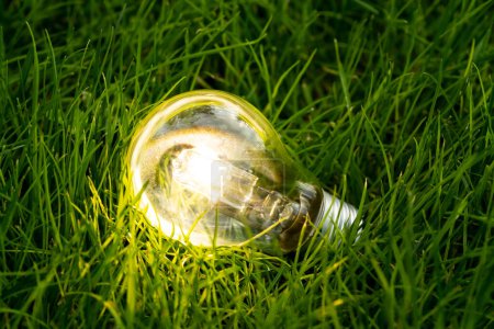 Photo for Close up photo of shining lightbulb with nature background as a symbol of reduce energy consumption. Concept of save or protect planet or world. - Royalty Free Image