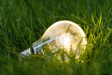 Foto de cerca de la bombilla brillante con fondo natural como símbolo de reducir el consumo de energía. Concepto de salvar o proteger el planeta o el mundo.