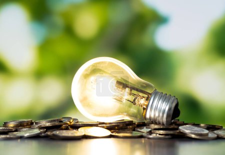 Nahaufnahme Foto von Glühbirne mit wachsender Pflanze im Inneren und Münzstapeln als Symbol des Geldsparens. Konzept von Geld, Investition und Gründungsidee.