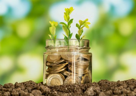 Zamknij zdjęcie szklanego słoika pełnego monet i rosnącej rośliny wewnątrz jako symbol inwestycji lub finansowania w biznesie. Koncepcja rozwoju finansowego przedsiębiorstwa lub osiągania zysku.