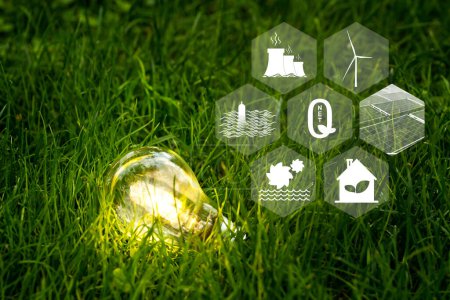 Téléchargez les photos : Ampoule lumineuse parmi les graminées et les icônes des sources d'énergie renouvelables comme symbole de zéro émission nette de carbone. Concept de ressources énergétiques durables. - en image libre de droit
