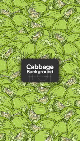 Illustration for Cabbage illustration, tropical vegetable background design template - Royalty Free Image