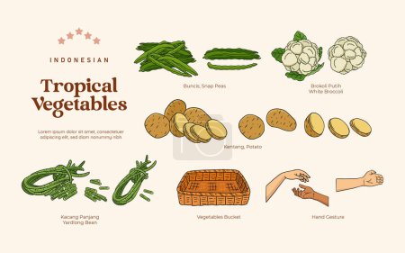 Isolated Tropical vegetables illustration, Indonesian botanical consumed plants element