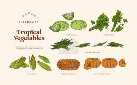 Ilustración de Ilustración de hortalizas tropicales aisladas, elemento indonesio de plantas botánicas consumidas - Imagen libre de derechos