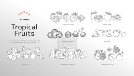 Illustration for Isolated Tropical fruits outline illustration - Royalty Free Image